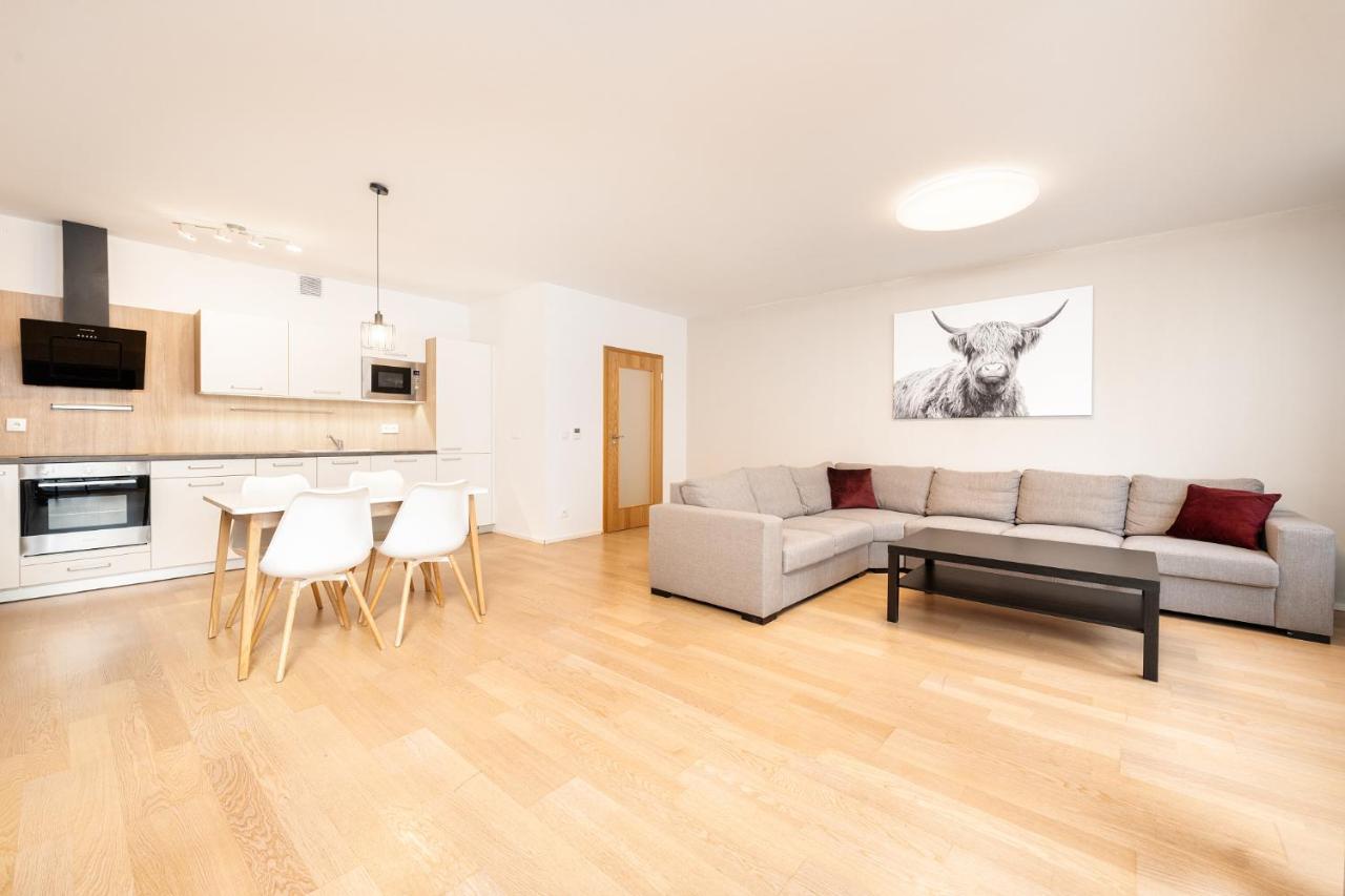 Mill Apartments 布尔诺 外观 照片